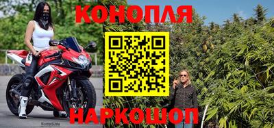 прущие грибы Когалым